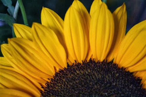 20090713 (2) (Small)