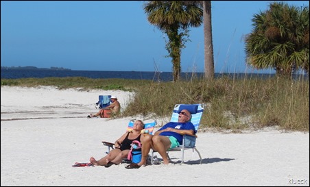 Fred Howard Park beach