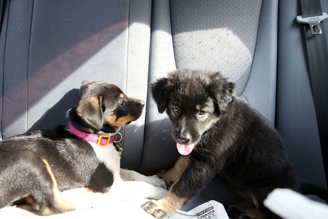 [IMG_0136%255B5%255D.jpg]