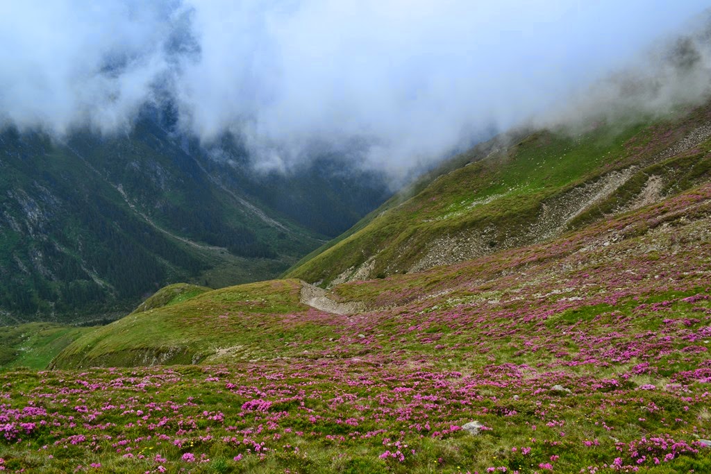 [DSC_80043.jpg]