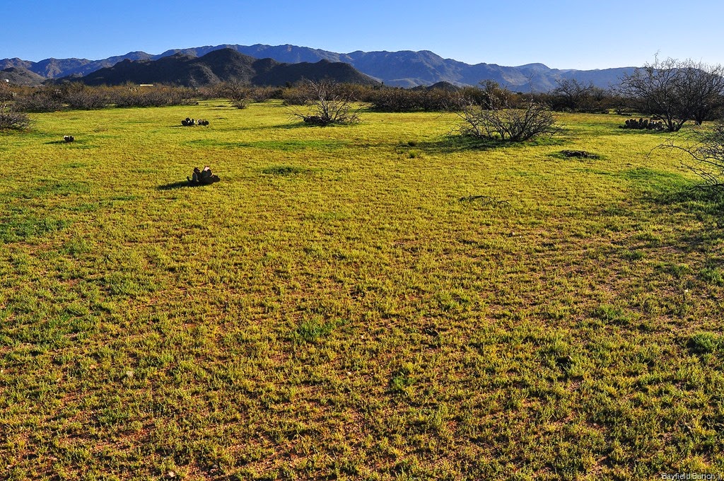 [DSC_0004%255B3%255D.jpg]