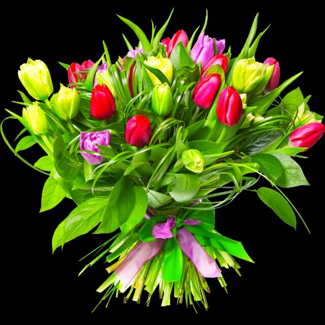 EL JARDIN DE LAS ROSAS: 10/06/14