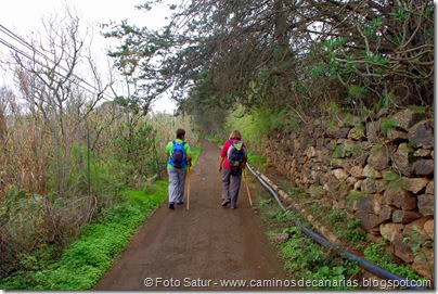 6987 Circular a Santa Brígida(Camino Murcia) 6987 Circular a Santa Brígida(Camino Murcia)