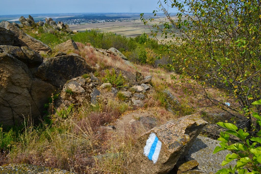[DSC_67683.jpg]