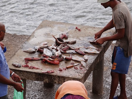 31. Pescari in Sal.JPG