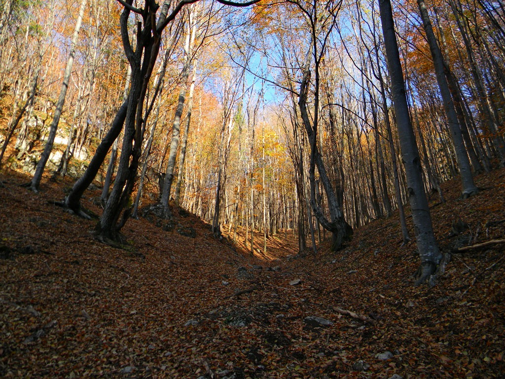[DSCN07253.jpg]