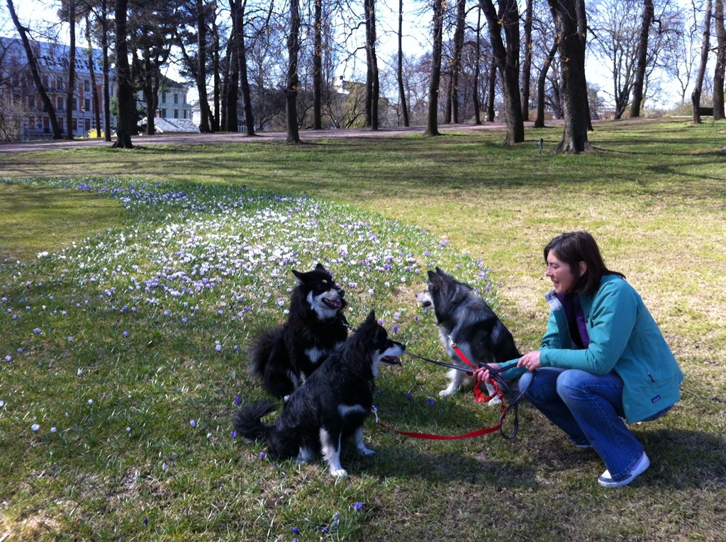 [120414%2520Hundetur%2520%2520Slottsparken%255B6%255D.jpg]