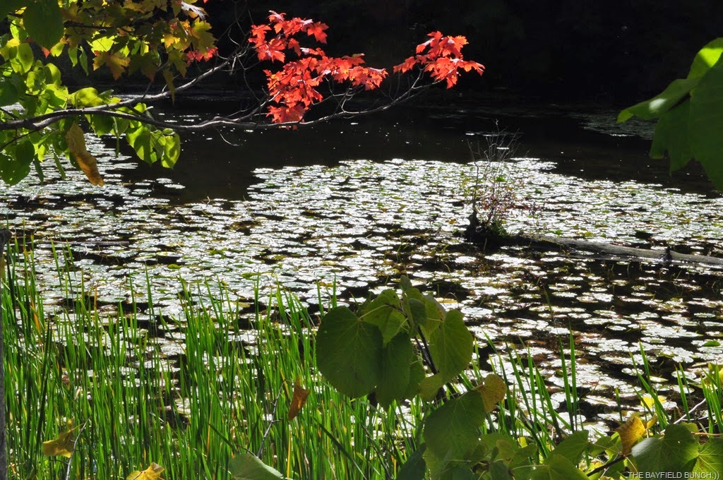 [DSC_0021%255B4%255D.jpg]