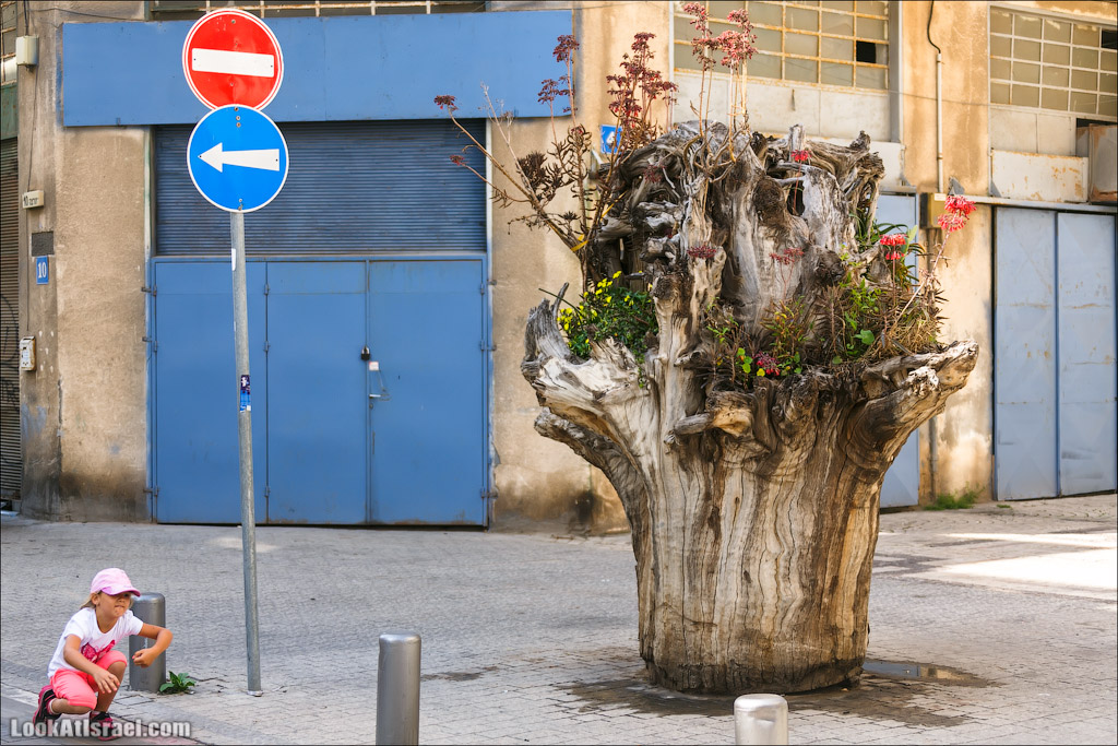 Все интересное с улиц Тель Авива. LookAtIsrael.com - Фото путешествия по Израилю