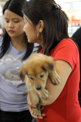 [IMG_1211%255B3%255D.jpg]
