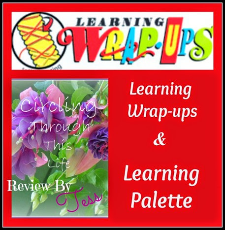 Learning Wrap Ups Review at Circling Through This Life