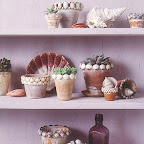 shell flower pots.jpg
