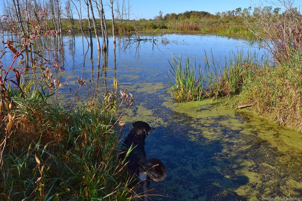 [DSC_0013%255B3%255D.jpg]