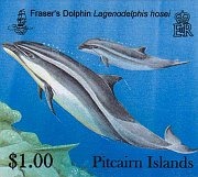 dolphins100c