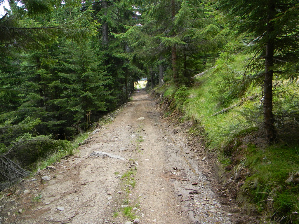 [DSCN45433.jpg]