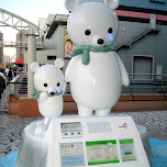 cute polar beers at muscle park in tokyo in Odaiba, Japan 
