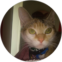 Image Google de Sylvie fritz Fritzmartineau