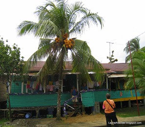 Typical Bocas home and coconuts