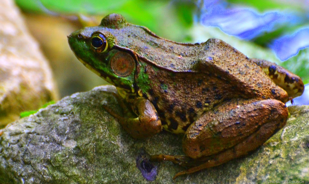 [DSC_0002%255B4%255D.jpg]