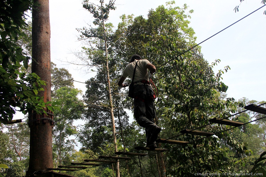 [SkyTrex-Tryout6.jpg.webp]