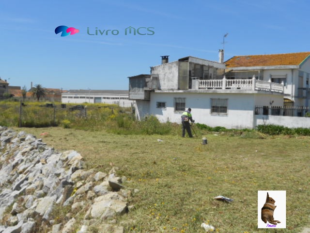 [Bolg%2520Gazeta%2520de%2520Espinho007%2520Livro%2520MCS%255B2%255D.jpg]