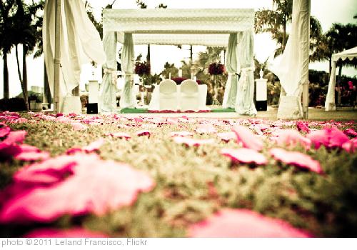 'Marriage' photo (c) 2011, Leland Francisco - license: http://creativecommons.org/licenses/by/2.0/