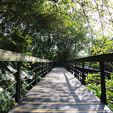 mobile01-c818ff13c98cea1b2773f747731f4359.jpg