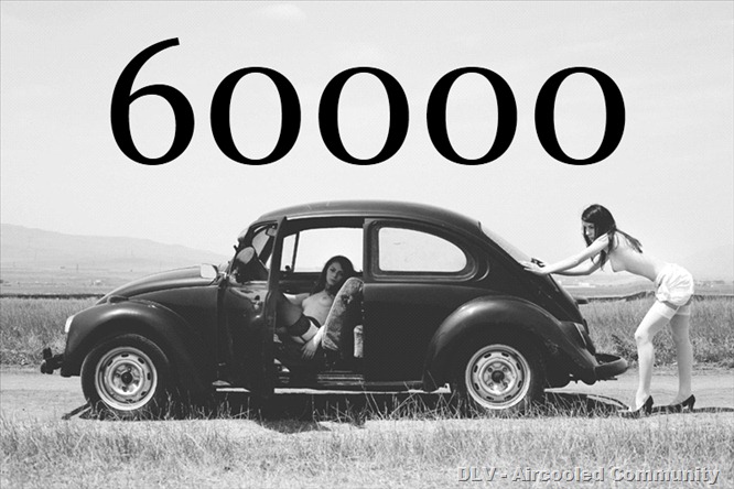 60000_Bug