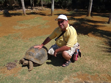  Broasca testoasa din Mauritius