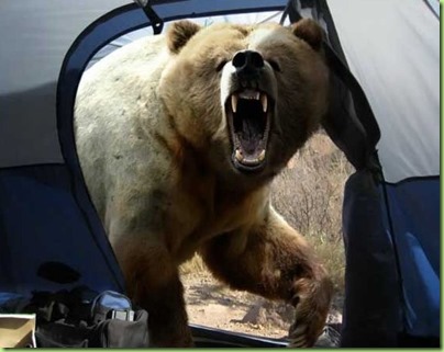 bear_attacks_tent