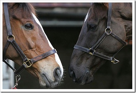 Kauto and Denman photographer unknown