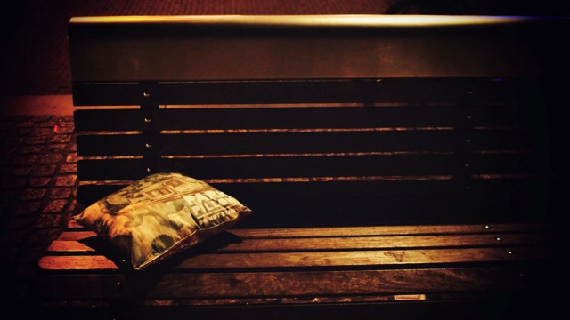 park pillow.jpg park pillow