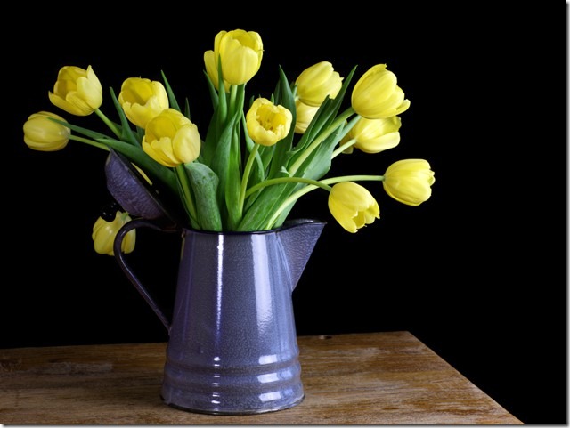 tulips-vase