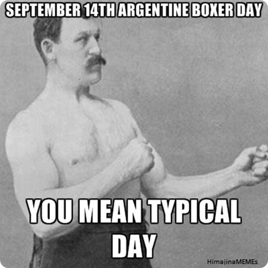 ARGENTINE BOXER DAY