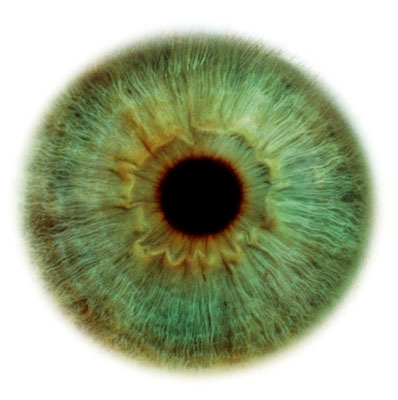 [clip_image015%255B2%255D.jpg]