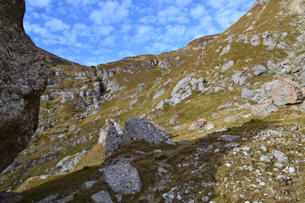 [DSC_38963.jpg]