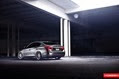 Vossen-1