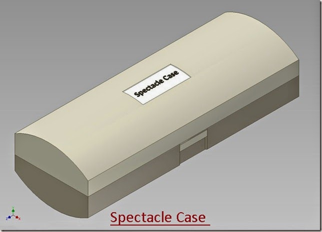 Spectacle Case _1