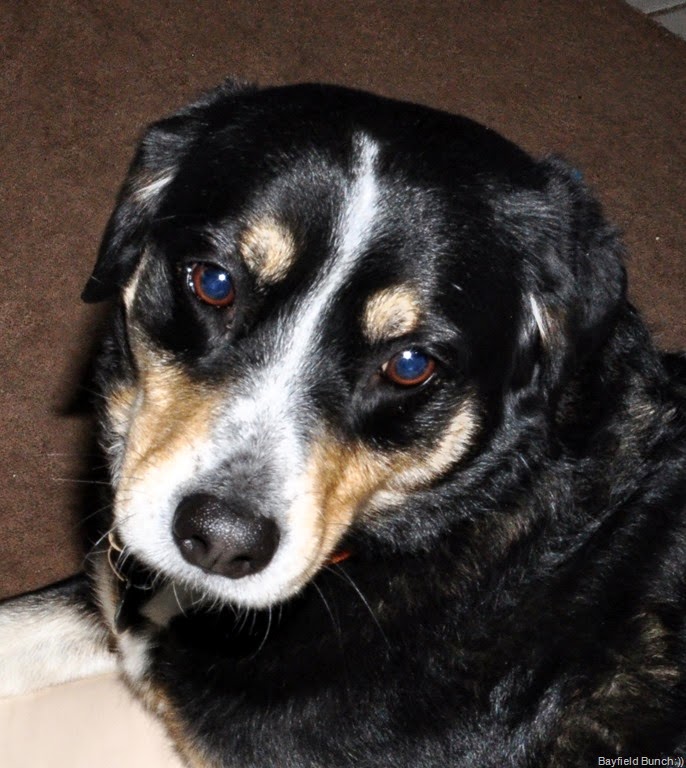 [DSC_0007%255B5%255D.jpg]