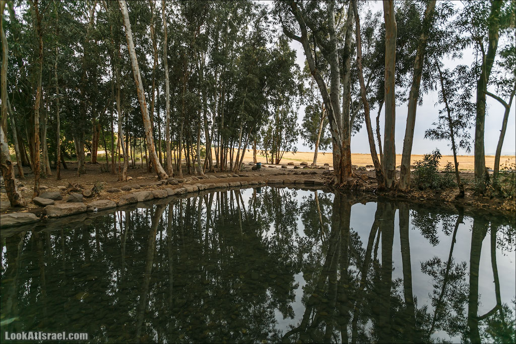 LookAtIsrael.com: Фото-блог о путешествиях по Израилю. Тель Авив, Иерусалим, Хайфа Здесь же живописное озеро, возле которого также любят ставить палатки. Но по ночам наверно тыщи комаров 