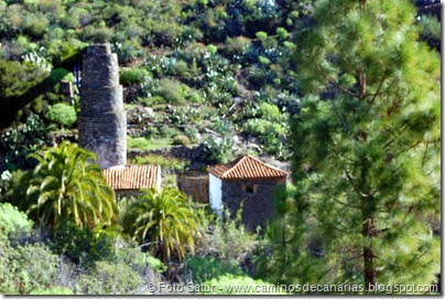 7313 Tunte-Fataga-Arteara(Molino de Agua) 7313 Tunte-Fataga-Arteara(Molino de Agua)