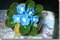 Crochet African Violets 3