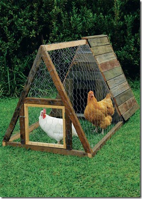 chicken-house-bottom