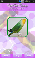 Lovebird-Therapie APK Screenshot #2