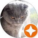 Image Google de Brigitte Stephan
