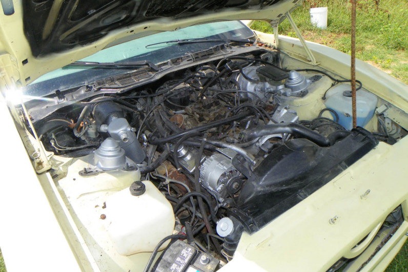 [1983-Custon-Trans-Am-13%255B2%255D.jpg]