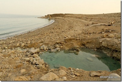 Dead Sea hot spring on shore, tb022806413