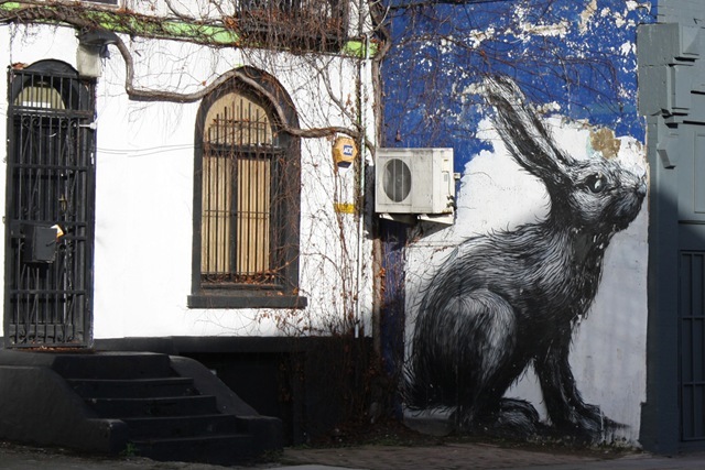 Roa's Hare