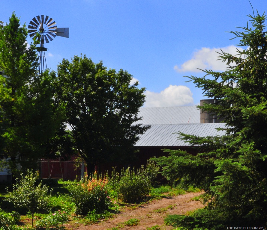 [DSC_0039%255B3%255D.jpg]