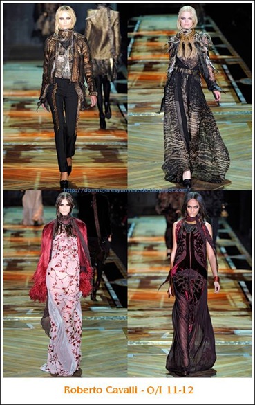 fw11-Roberto Cavalli fw11-Roberto Cavalli